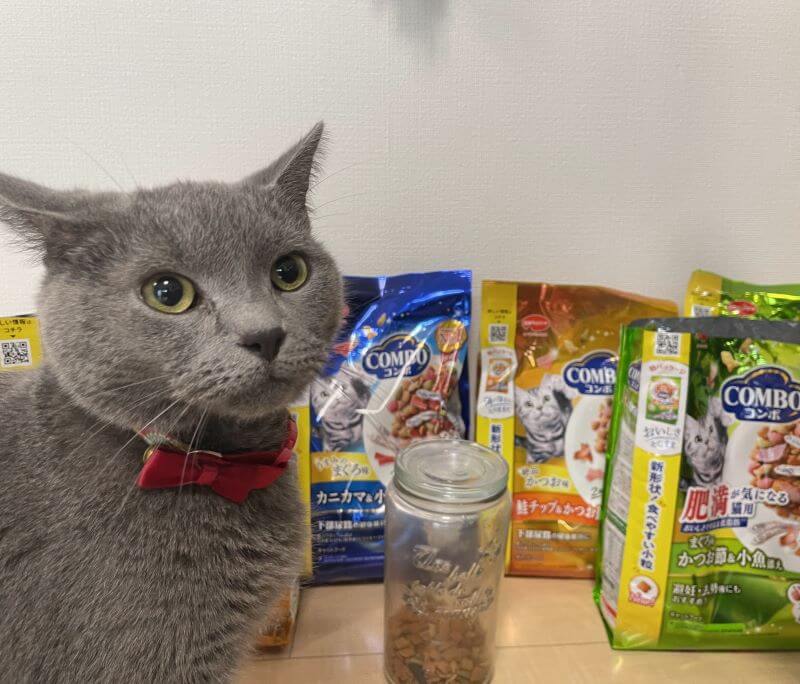 コンボとシャルトリュー