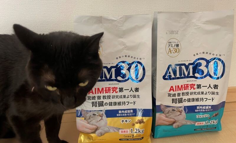 黒猫とAIM30