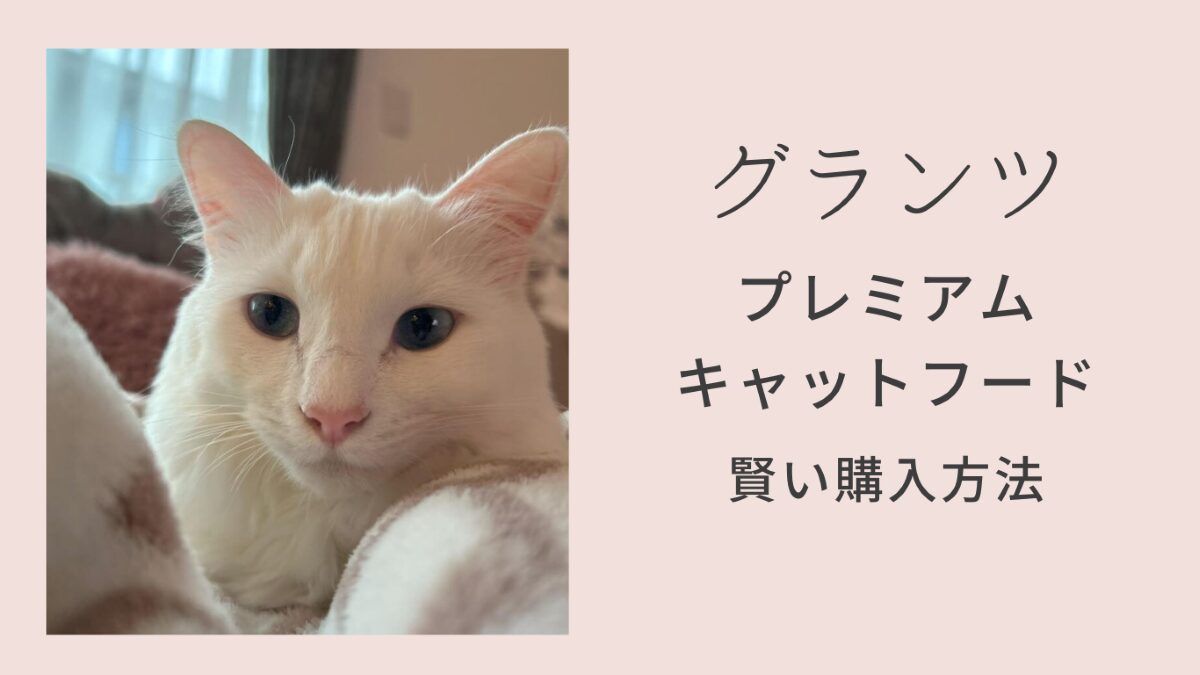 グランツ GRANDS キャットフード ねこぴゅーれ フードスプーン GRANDS（グランツ）【公式】｜無添加グレインフリーのプレミアム