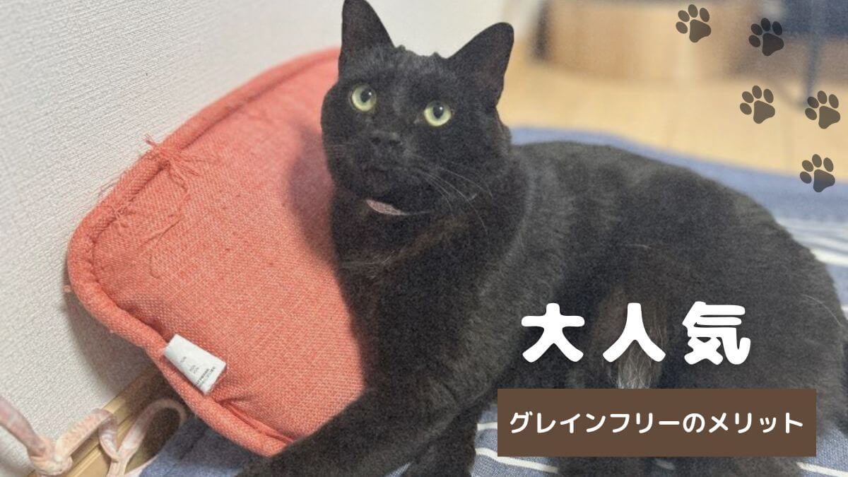 グレインフリーフードのアイキャッチ